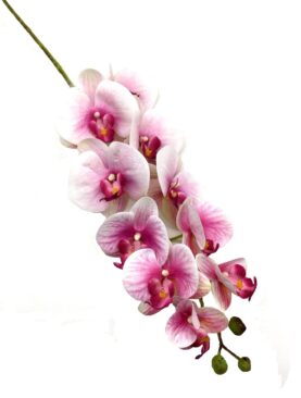 SY01465-3 - Haste De Orquídea X10